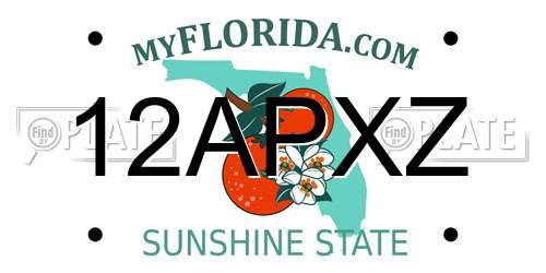 12APXZ Florida License Plate