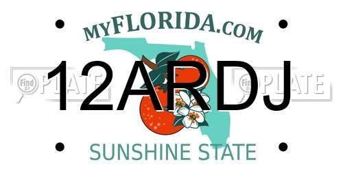 12ARDJ Florida License Plate