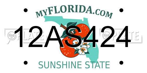 12AS424 Florida License Plate