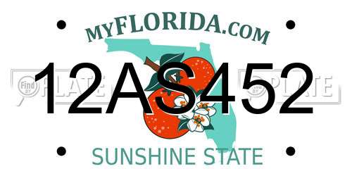 12AS452 Florida License Plate