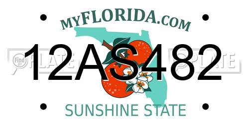12AS482 Florida License Plate
