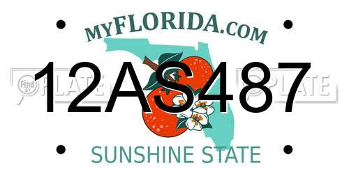 12AS487 Florida License Plate