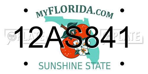 12AS841 Florida License Plate