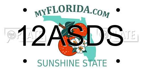 12ASDS Florida License Plate