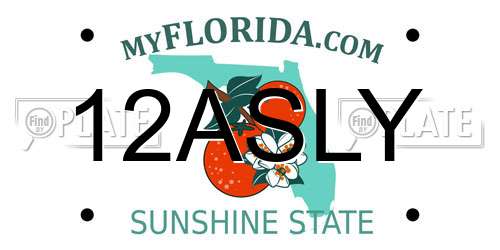 12ASLY Florida License Plate