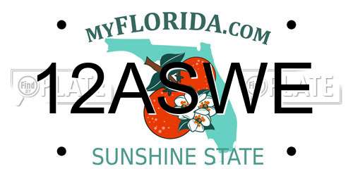 12ASWE Florida License Plate