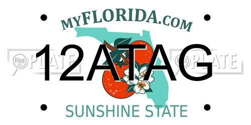 12ATAG Florida License Plate