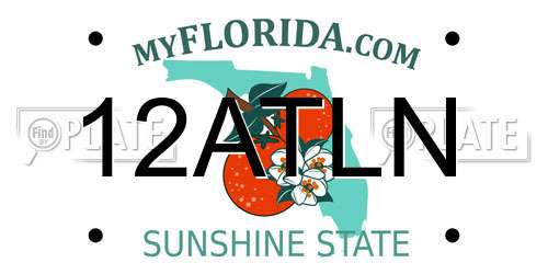 12ATLN Florida License Plate