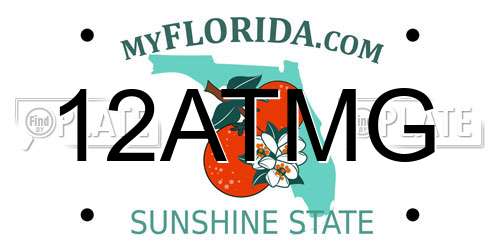 12ATMG Florida License Plate