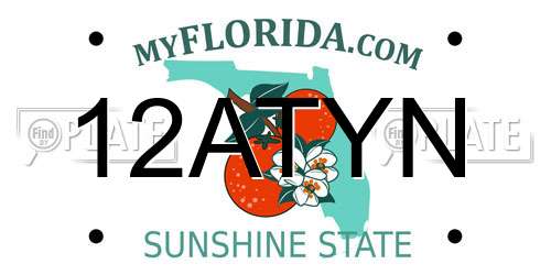 12ATYN Florida License Plate