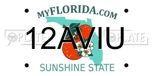 12AVIU Florida License Plate