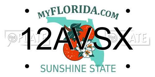 12AVSX Florida License Plate
