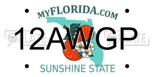 12AWGP Florida License Plate