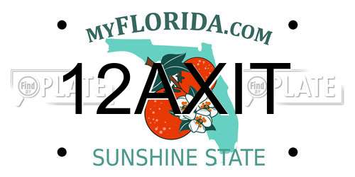 12AXIT Florida License Plate