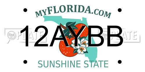 12AYBB Florida License Plate