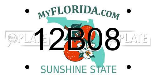 12B08 Florida License Plate