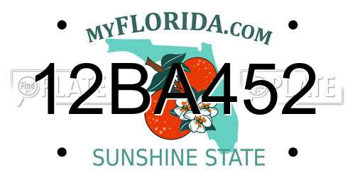 12BA452 Florida License Plate