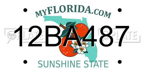 12BA487 Florida License Plate