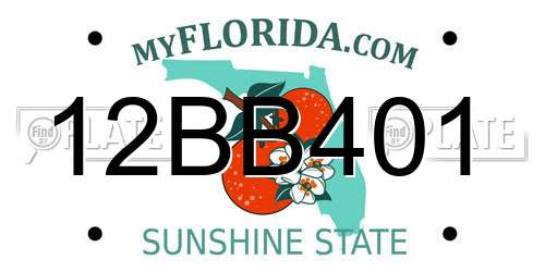 12BB401 Florida License Plate