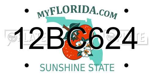 12BC624 Florida License Plate