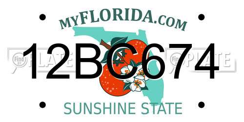 12BC674 Florida License Plate