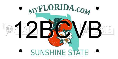 12BCVB Florida License Plate