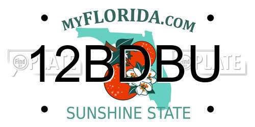 12BDBU Florida License Plate