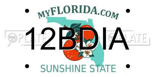 12BDIA Florida License Plate