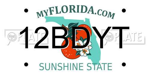 12BDYT Florida License Plate