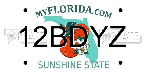 12BDYZ Florida License Plate
