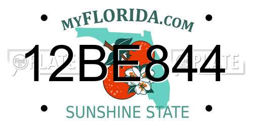 12BE844 Florida License Plate