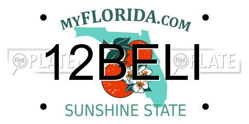 12BELI Florida License Plate