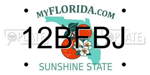 12BFBJ Florida License Plate
