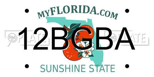 12BGBA Florida License Plate