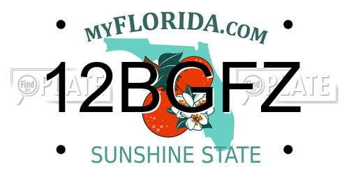 12BGFZ Florida License Plate