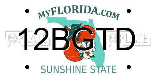 12BGTD Florida License Plate