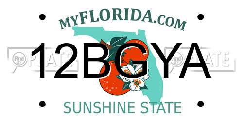 12BGYA Florida License Plate