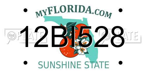 12BI528 Florida License Plate