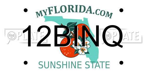 12BINQ Florida License Plate