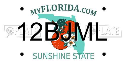 12BJML Florida License Plate