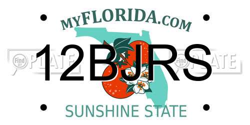 12BJRS Florida License Plate