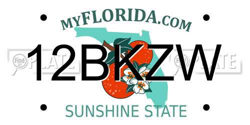 12BKZW Florida License Plate