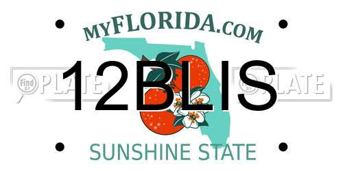 12BLIS Florida License Plate