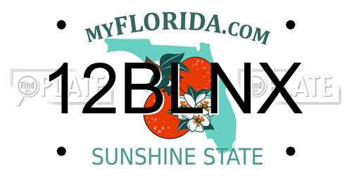 12BLNX Florida License Plate