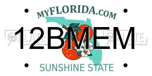 12BMEM Florida License Plate