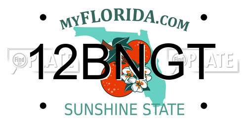 12BNGT Florida License Plate