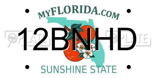 12BNHD Florida License Plate