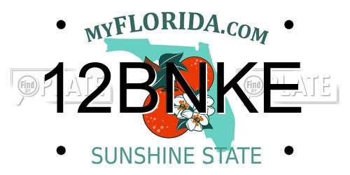 12BNKE Florida License Plate