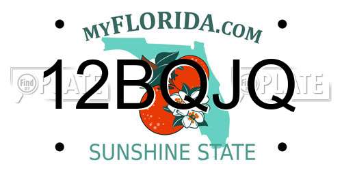 12BQJQ Florida License Plate