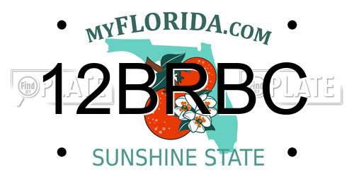 12BRBC Florida License Plate